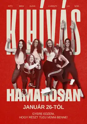 Közös kihívás – plakát
